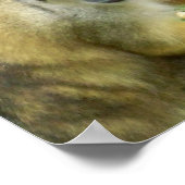 Poster de singe écureuil (Coin)