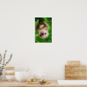 Poster de Sloth (Cuisine)
