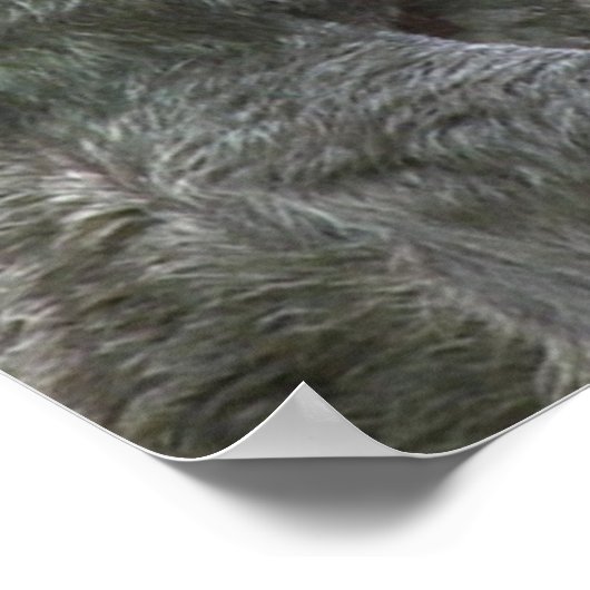 Poster de Sloth (Coin)