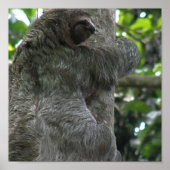 Poster de Sloth (Devant)