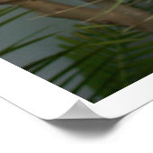 Poster de Sloth (Coin)