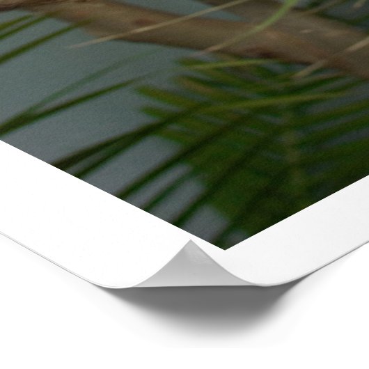 Poster de Sloth (Coin)