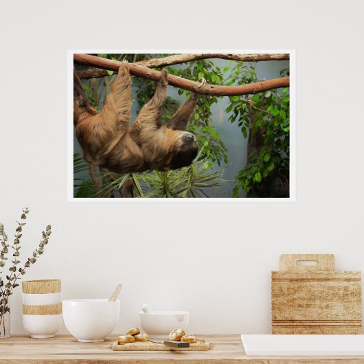 Poster de Sloth (Cuisine)
