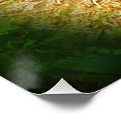 Poster de Sloth Rainforest (Coin)