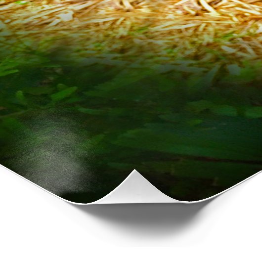 Poster de Sloth Rainforest (Coin)