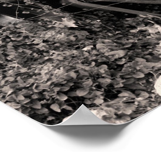 Poster de Snaks de rotin (Coin)