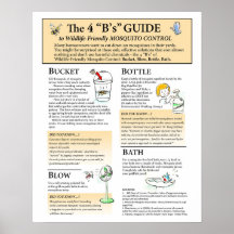 Poster de solutions pour moustiques respectueuses 