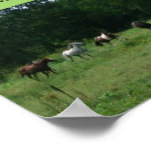 Poster de soutien Secourt du cheval de course (Coin)