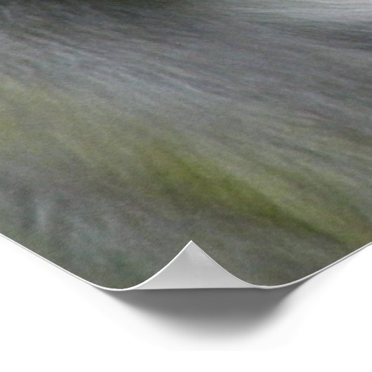 Poster de Spider Monkey (Coin)