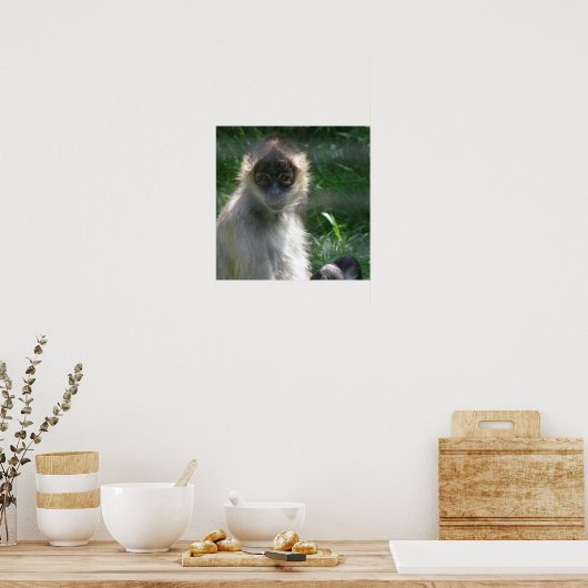 Poster de Spider Monkey (Cuisine)