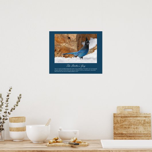 Poster de Steller's Jay (Cuisine)
