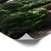 Poster de Stone Pathway in Nature (Coin)