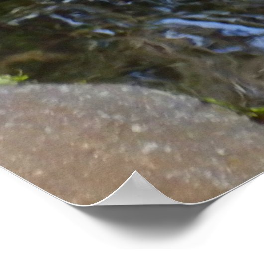 Poster de stones à pas (Coin)