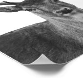 Poster de style Cabine noir blanc cerf (Coin)