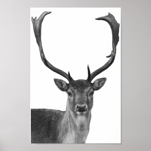 Poster de style Cabine noir blanc cerf (Devant)