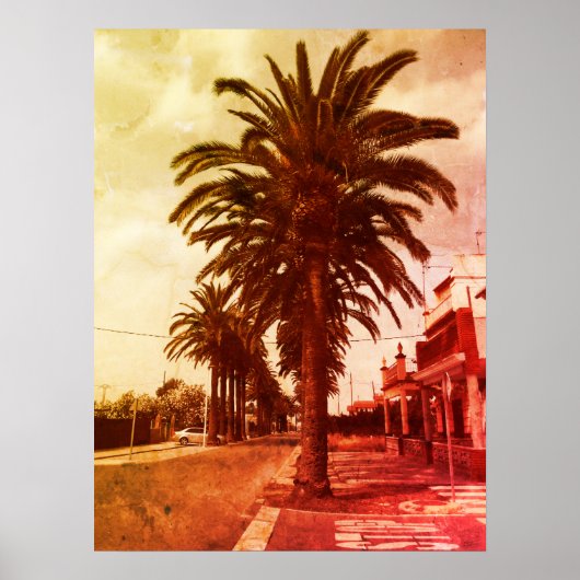 Poster de style Vintage Palm Tree (Devant)