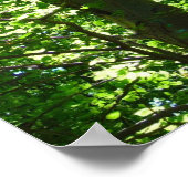 Poster de Sun Tree (Coin)