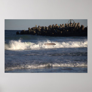 Poster de surf dans Waves