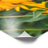 Poster de Susan aux yeux noirs (Coin)