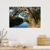 Poster de Suwannee River (Cuisine)