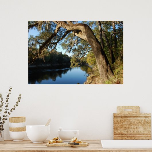 Poster de Suwannee River (Cuisine)