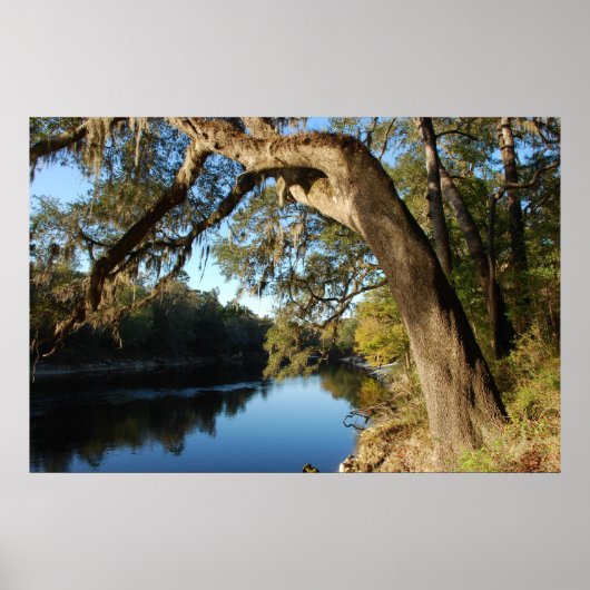 Poster de Suwannee River (Devant)