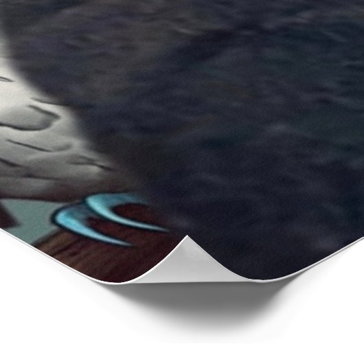 Poster de Tara Owls (Coin)