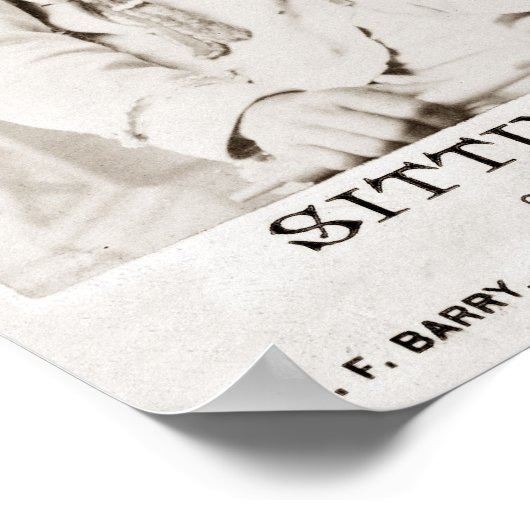 Poster de taureaux assis (Coin)