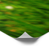 Poster de terrain (Coin)