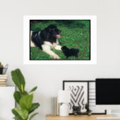 Poster de Terre-Neuve Landseer & Puppy (Bureau à domicile)
