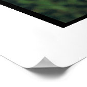 Poster de Terrier roux à revêtement souple (Coin)