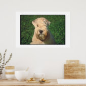 Poster de Terrier roux à revêtement souple (Cuisine)