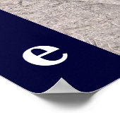 Poster de Theodore Roosevelt (Coin)