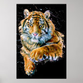 Poster de TIGER (Devant)