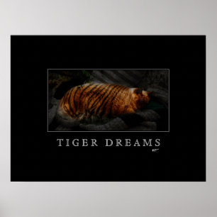 Poster de Tiger Dreams
