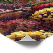 Poster de toile Alan Giana "Moonlight" (Coin)