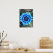 Poster de tournesol bleu (Cuisine)