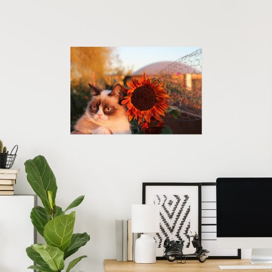 Poster de tournesol de chat grumpy (Bureau à domicile)