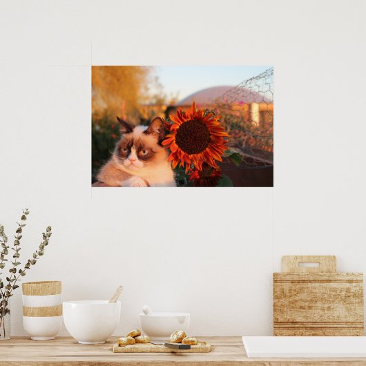 Poster de tournesol de chat grumpy (Cuisine)