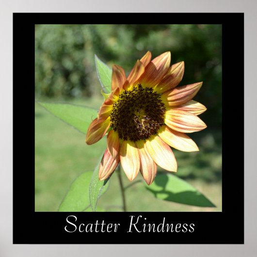 Poster de tournesol Scatter Kindness (Devant)