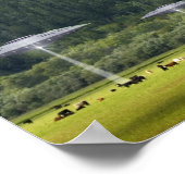 Poster de trois ovnis avec champ de vaches (Coin)