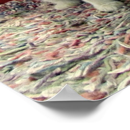 Poster de Tuffy McDuff (Coin)