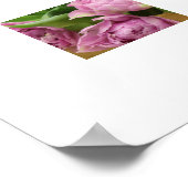 Poster de Tulipes roses (Coin)