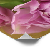 Poster de Tulipes roses (Coin)