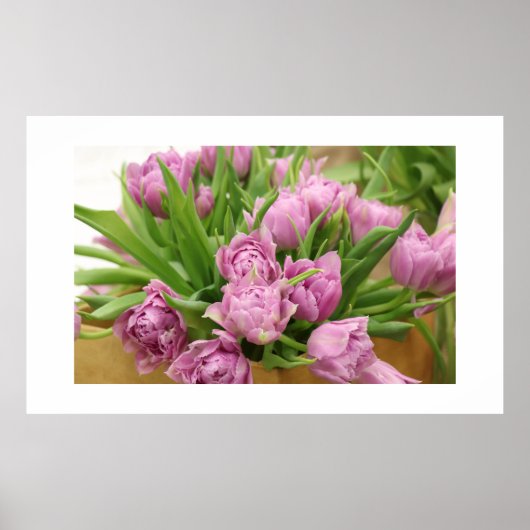 Poster de Tulipes roses (Devant)
