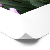 Poster de Tulips (Coin)