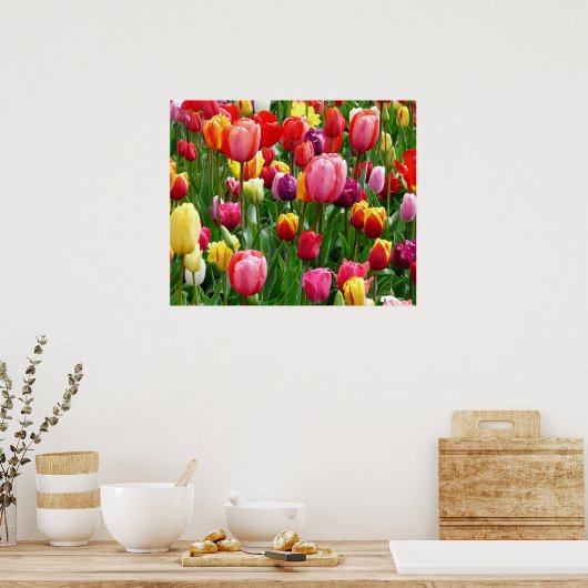 Poster de Tulips (Cuisine)
