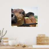Poster de vache curieux (Cuisine)