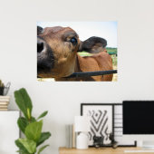 Poster de vache curieux (Bureau à domicile)