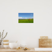 Poster de vaches broutant dans une prairie en Irla (Cuisine)
